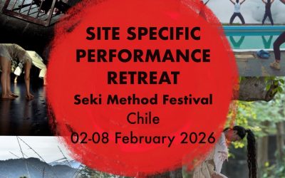 Site Specific Performance Retreat in Ko-Panqui, Chile