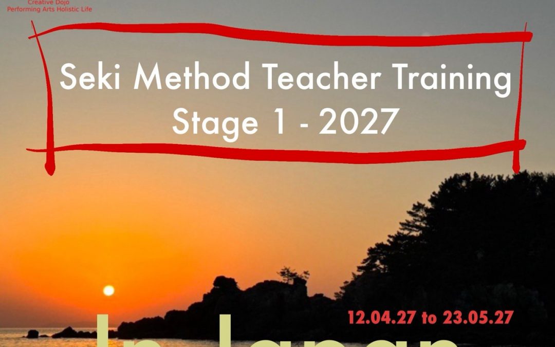 WORLD WIDE SCHOOL // Apply now for Stage 1 – 2027- of the Seki Method Teacher Training